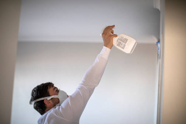 Best Professional Mold Removal  in Brownsville, FL