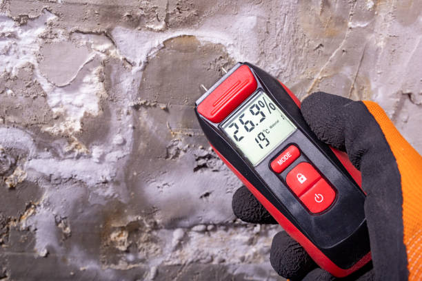 Best Water Damage Restoration  in Brownsville, FL