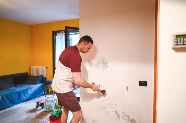 Attic Mold Removal in Brownsville, FL